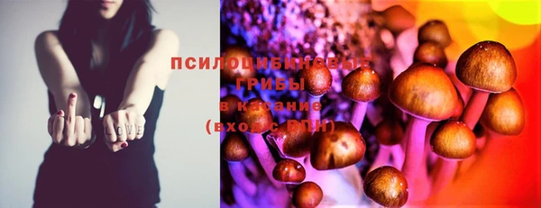 эйфоретик Абаза